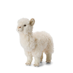 Alpaca Wit 31cm