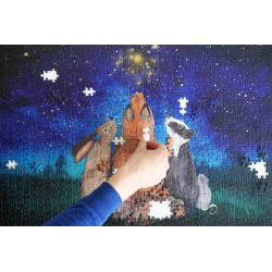 Puzzel Sterren Kijken 1000pcs