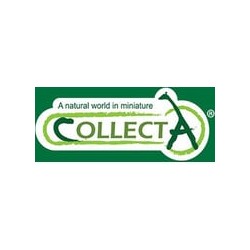 Collecta